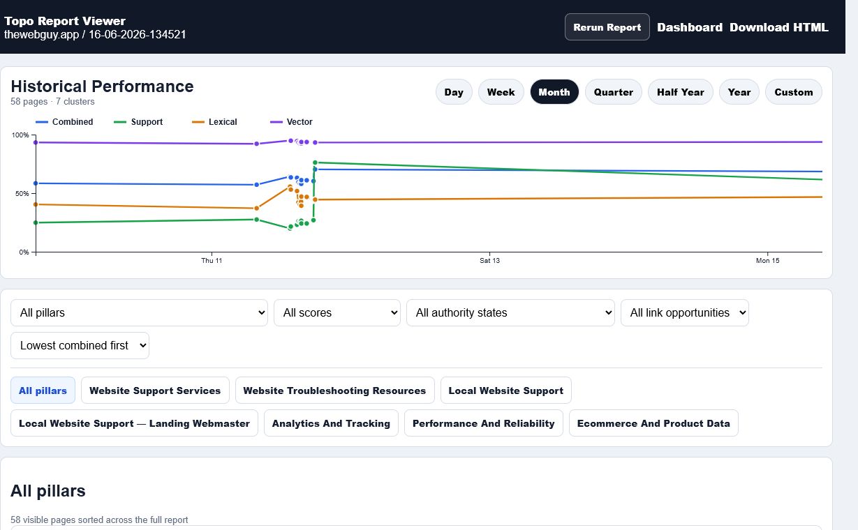 TopoRank report overview showing page cards, score summaries, filters, history controls, and report metadata.